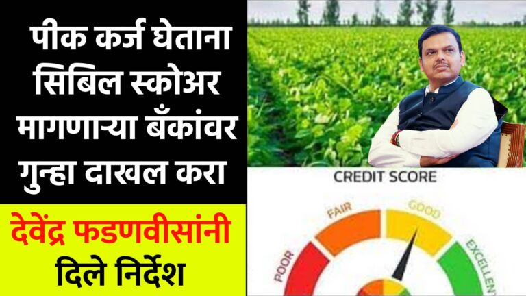 Crop Loan Cibil Score