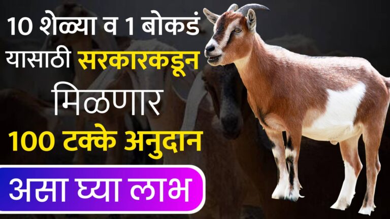 Goat Farming Subsidy
